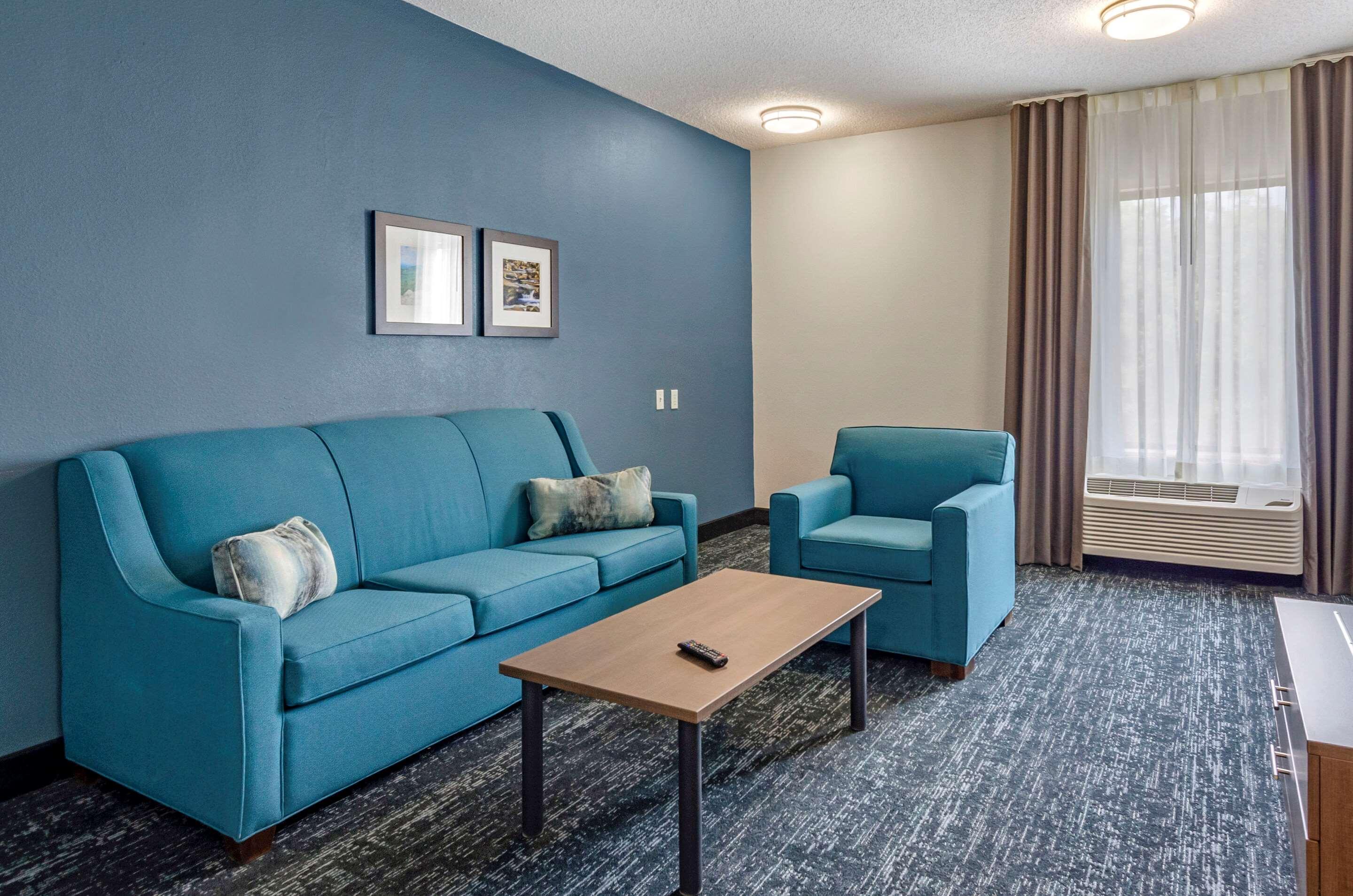 Comfort Inn & Suites Troutville - Roanoke North - Daleville Екстериор снимка